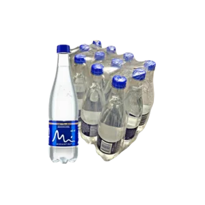 Manantial Natural 600 Ml x 12